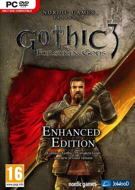Gothic 3: Forsaken Gods Enhanced Edition постер (cover)
