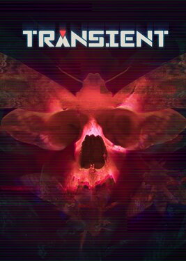 Transient постер (cover)