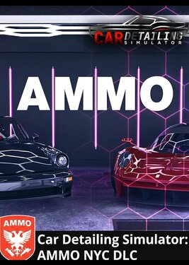 Car Detailing Simulator - AMMO NYC