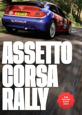 Assetto Corsa Rally постер (cover)