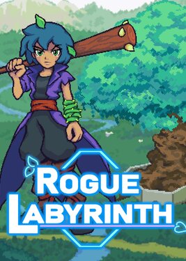 Rogue Labyrinth постер (cover)