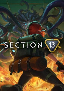 Section 13 постер (cover)
