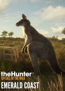 theHunter: Call of the Wild - Emerald Coast Australia poster (cover)