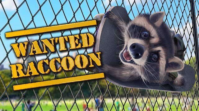 Wanted Raccoon купить от 620