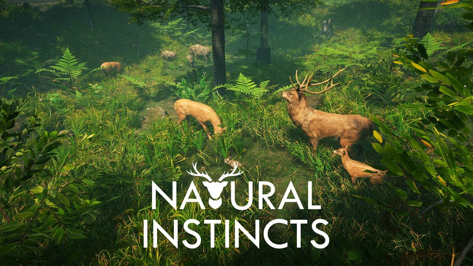 Natural Instincts: European Forest