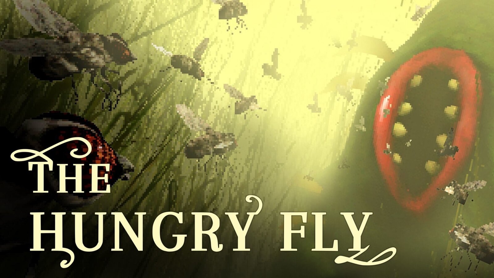 The Hungry Fly