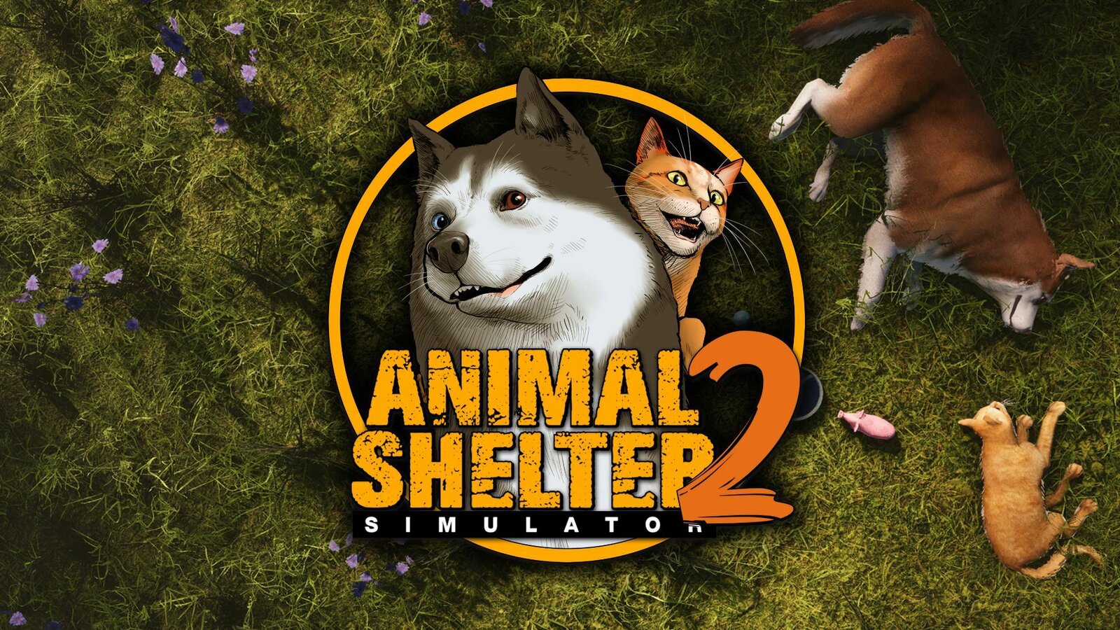 Animal Shelter 2