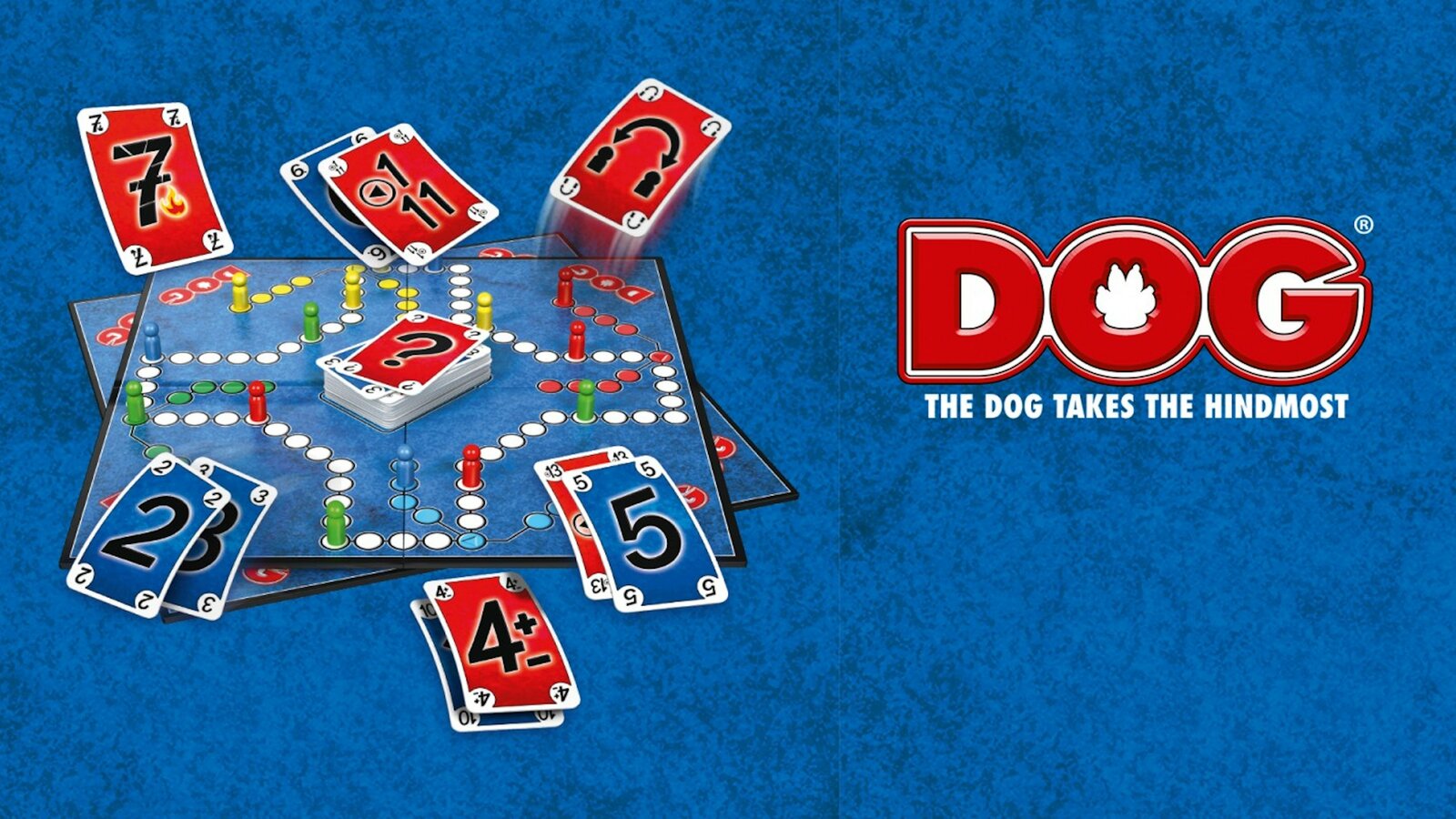 DOG - The dog takes the hindmost