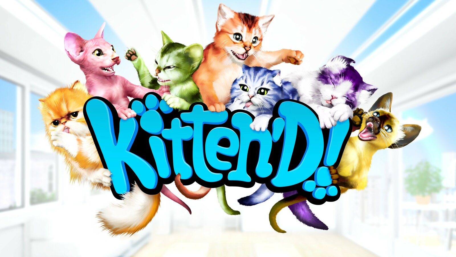 Kitten'D