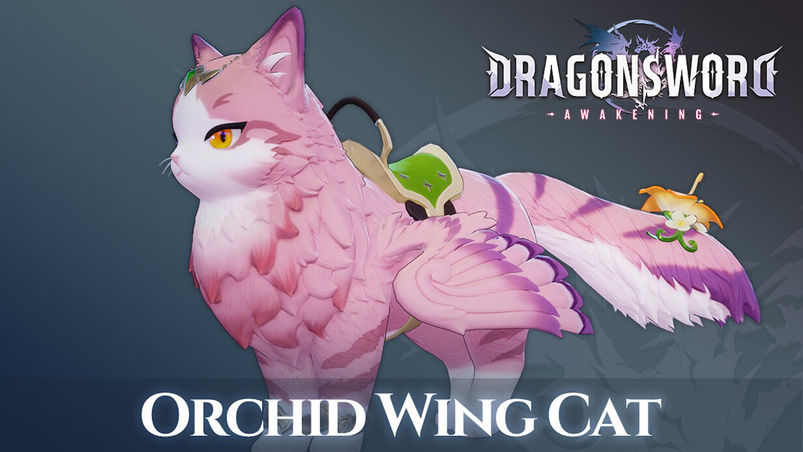 DragonSword: Awakening - Familiar: Orchid Wing Cat