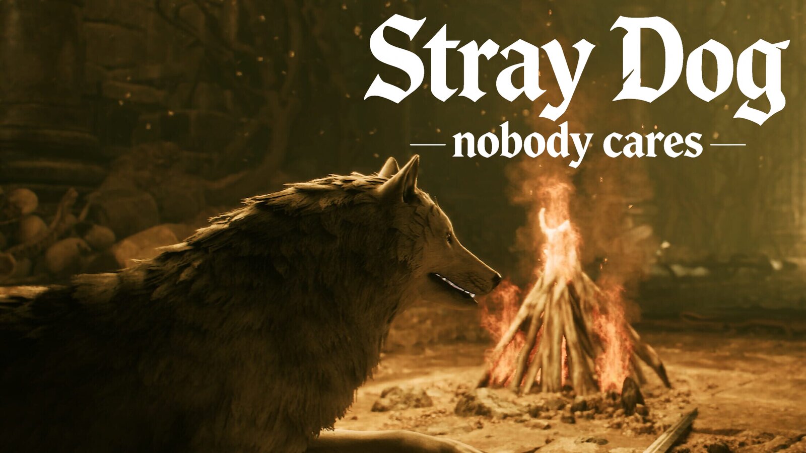 Stray Dog: nobody cares