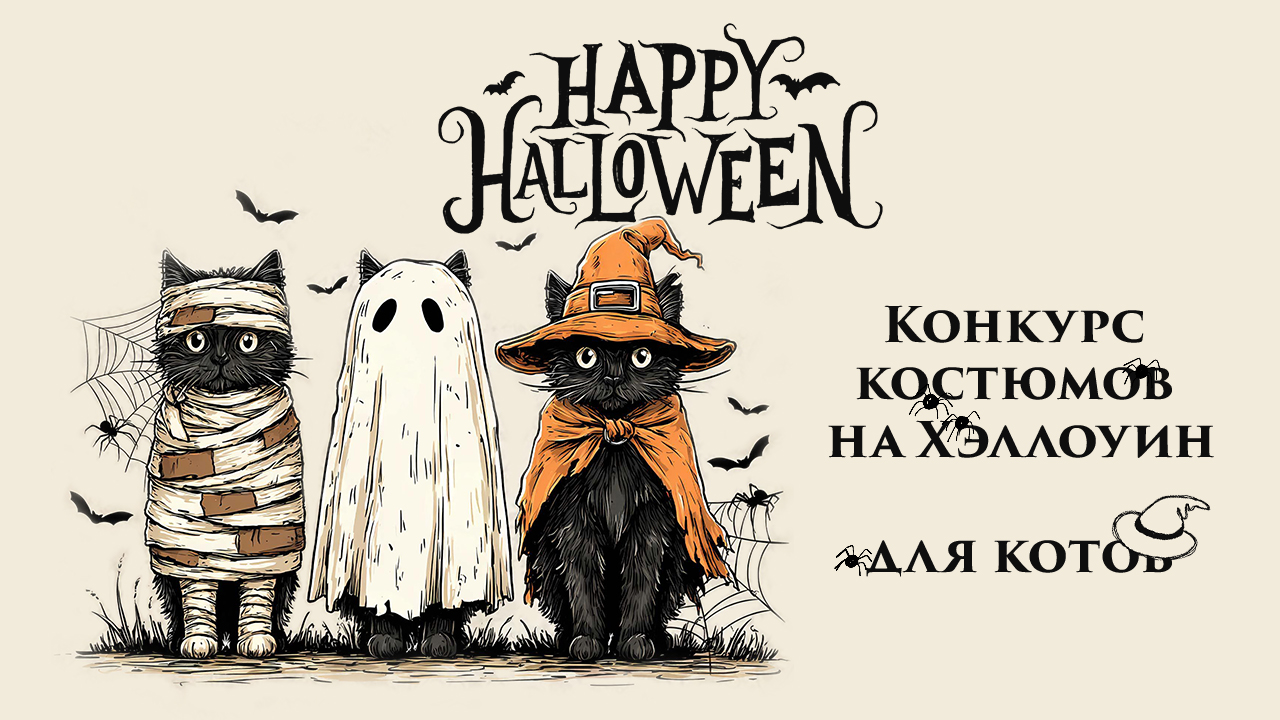 🎃 Хэллоуинский конкурс костюмов… для котов!