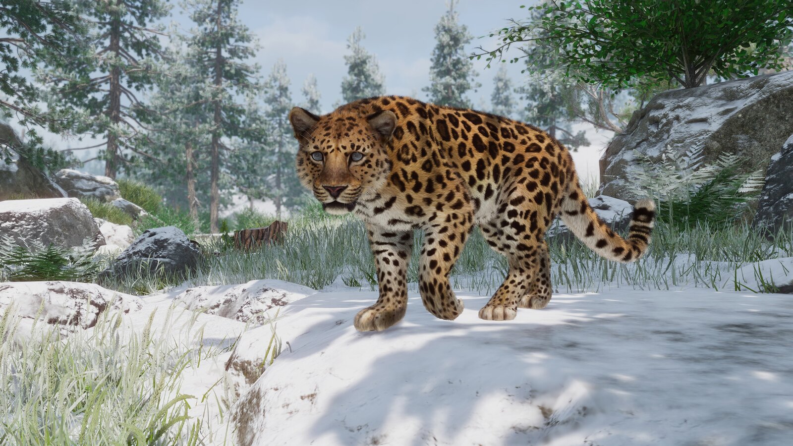 Planet Zoo - Conservation Pack