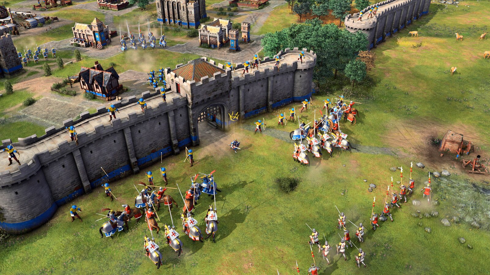 Age of Empires IV: Knights of Cross and Rose