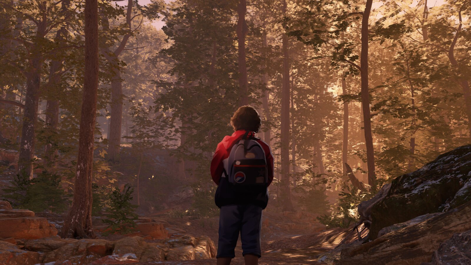 As Dusk Falls