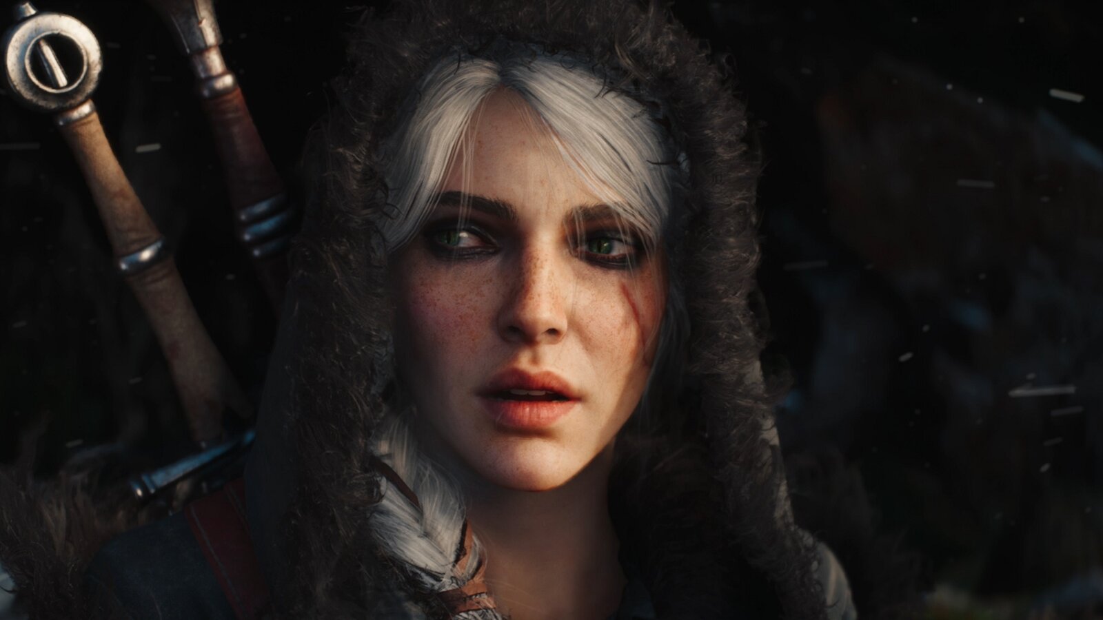 The Witcher 4