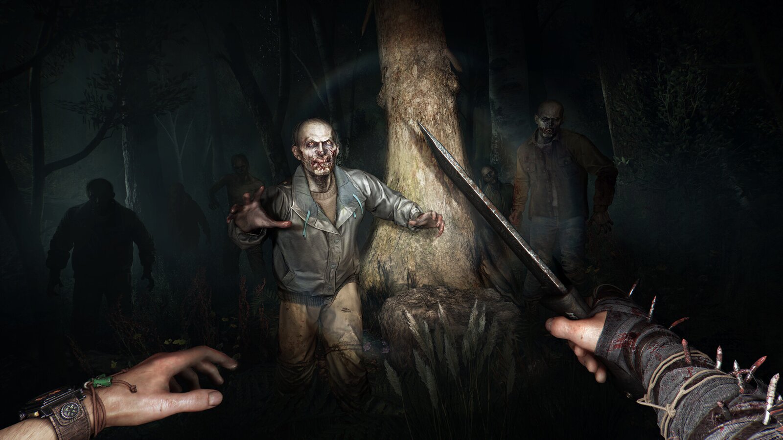 Dying Light: The Beast