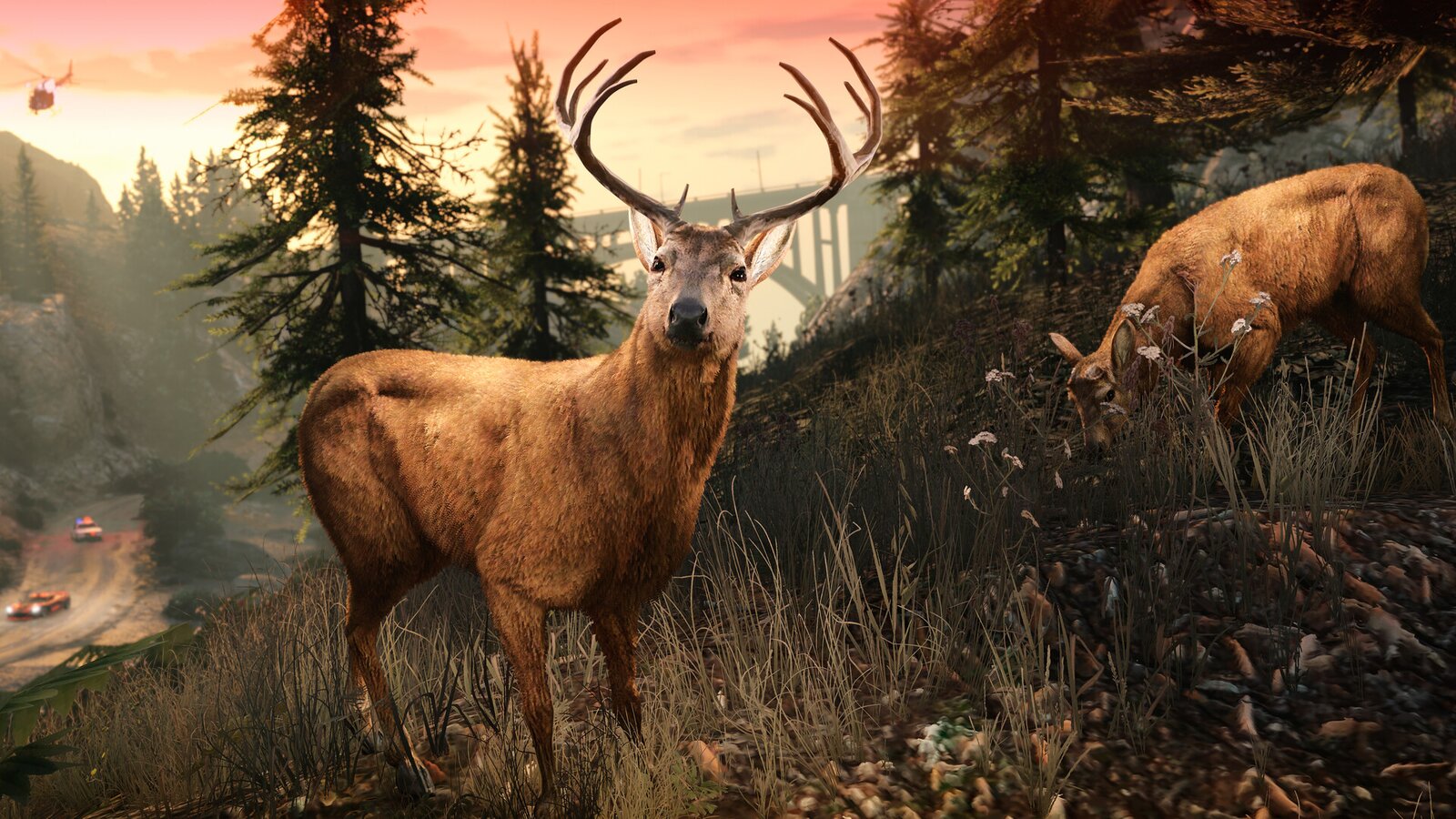 Grand Theft Auto V - Enhanced & Great White Shark Card Bundle