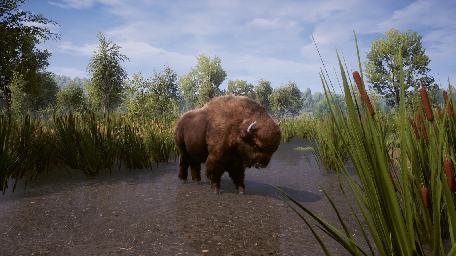 Medieval Dynasty - Supporter Edition