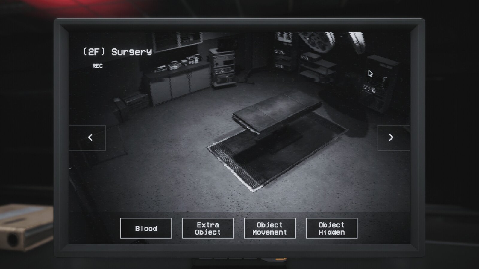 Paranormal Investigation