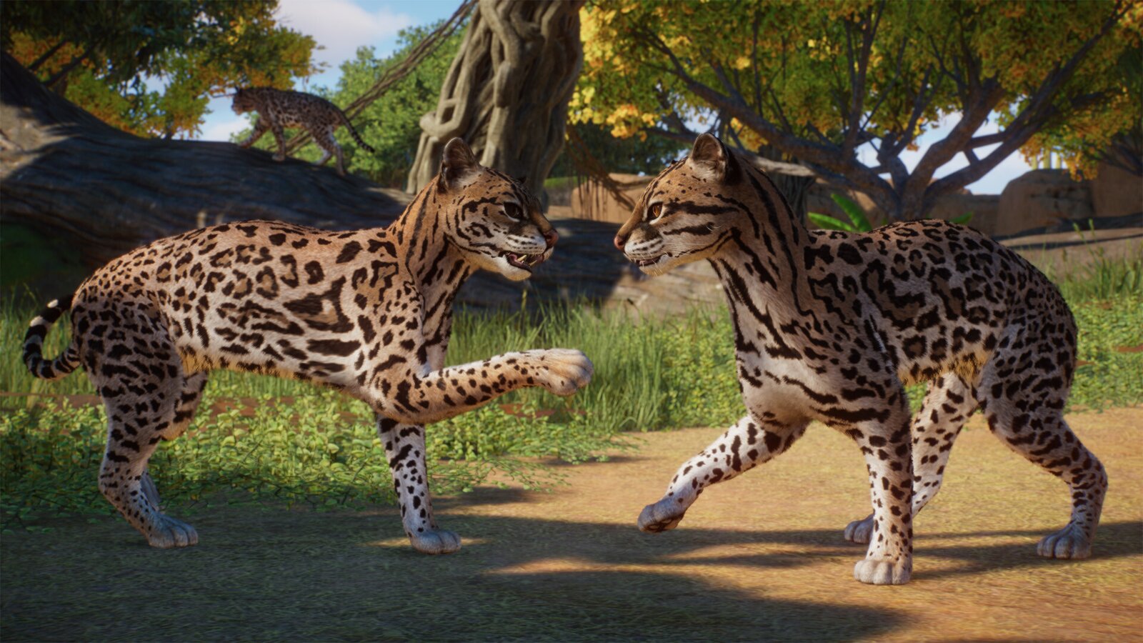 Planet Zoo: Americas Animal Pack