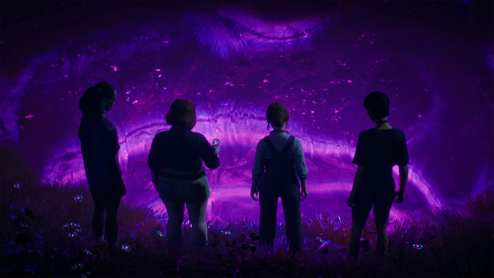 Lost Records: Bloom & Rage