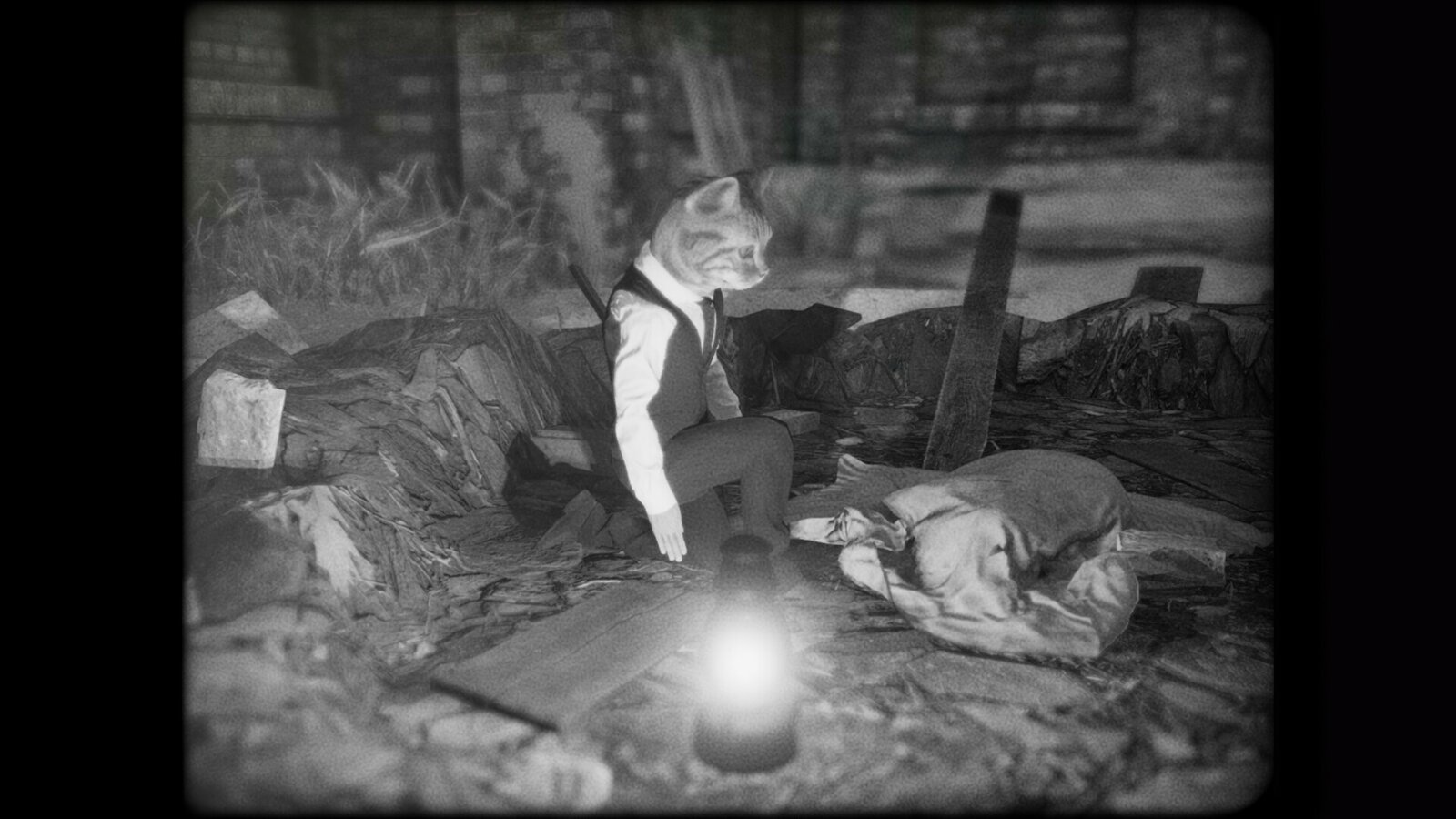 Cat Detective Albert Wilde