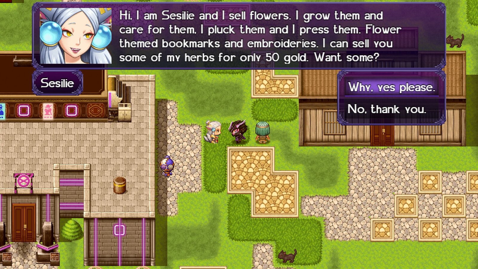 The Black Knight Chronicles - The Widow without Time