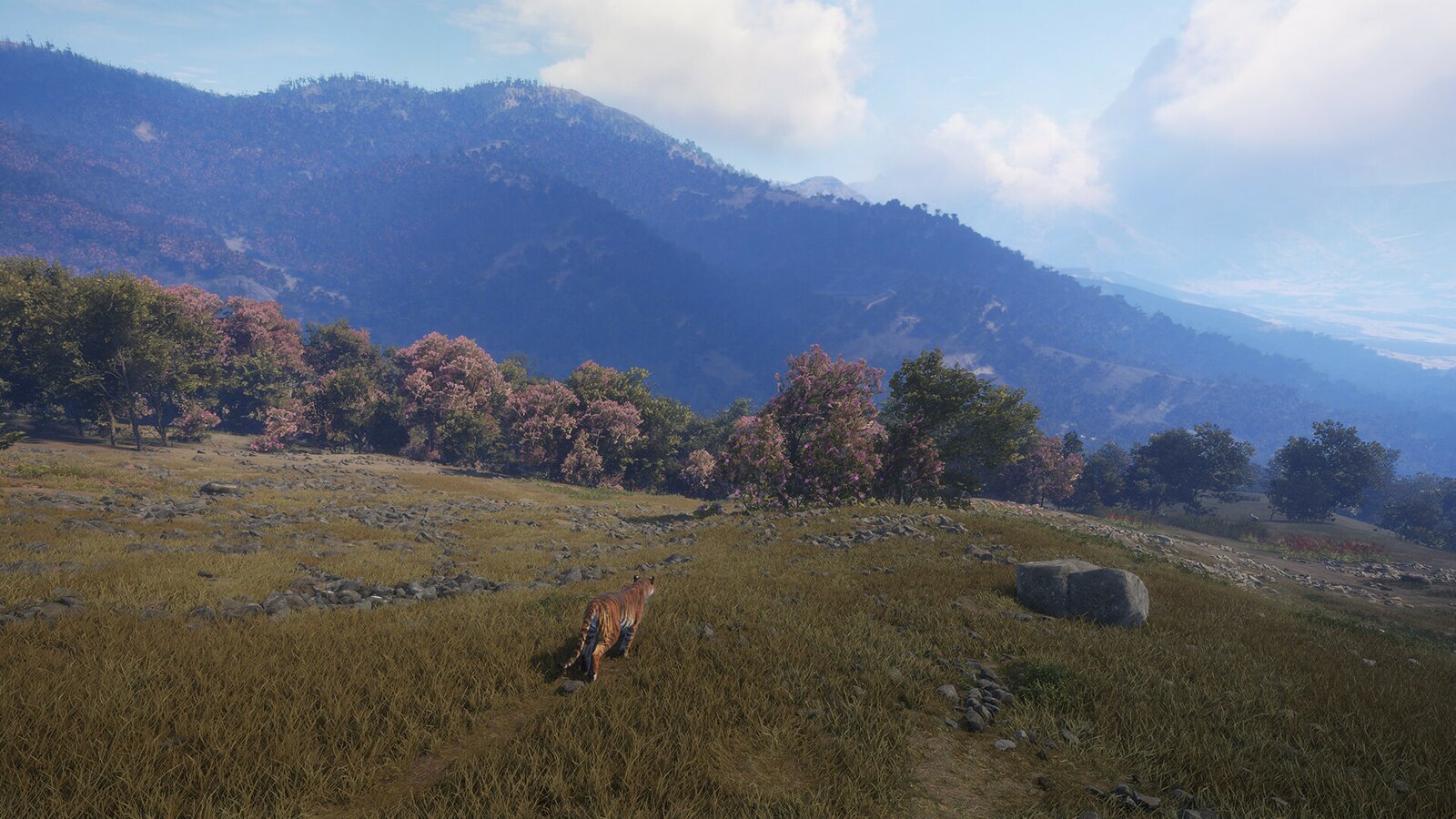 theHunter: Call of the Wild - Sundarpatan Nepal Hunting Reserve
