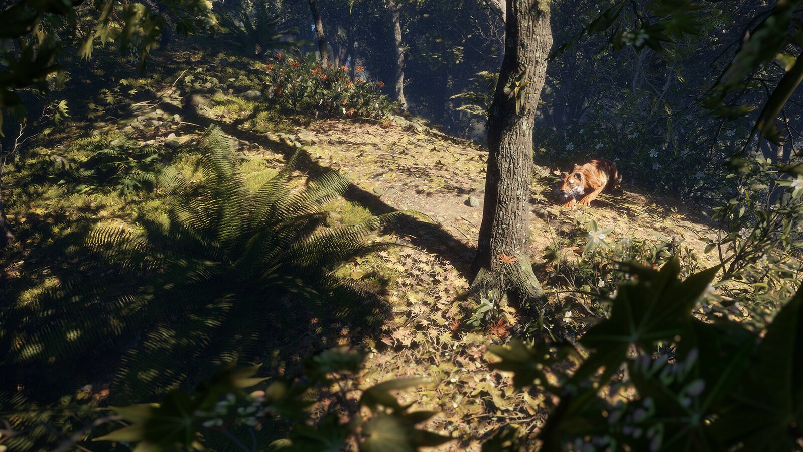 theHunter: Call of the Wild - Sundarpatan Nepal Hunting Reserve