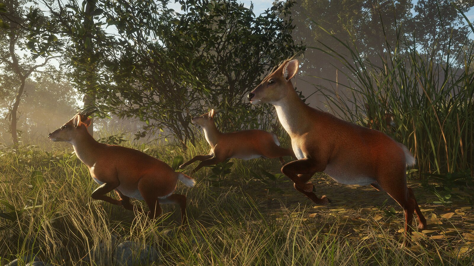 theHunter: Call of the Wild - Sundarpatan Nepal Hunting Reserve