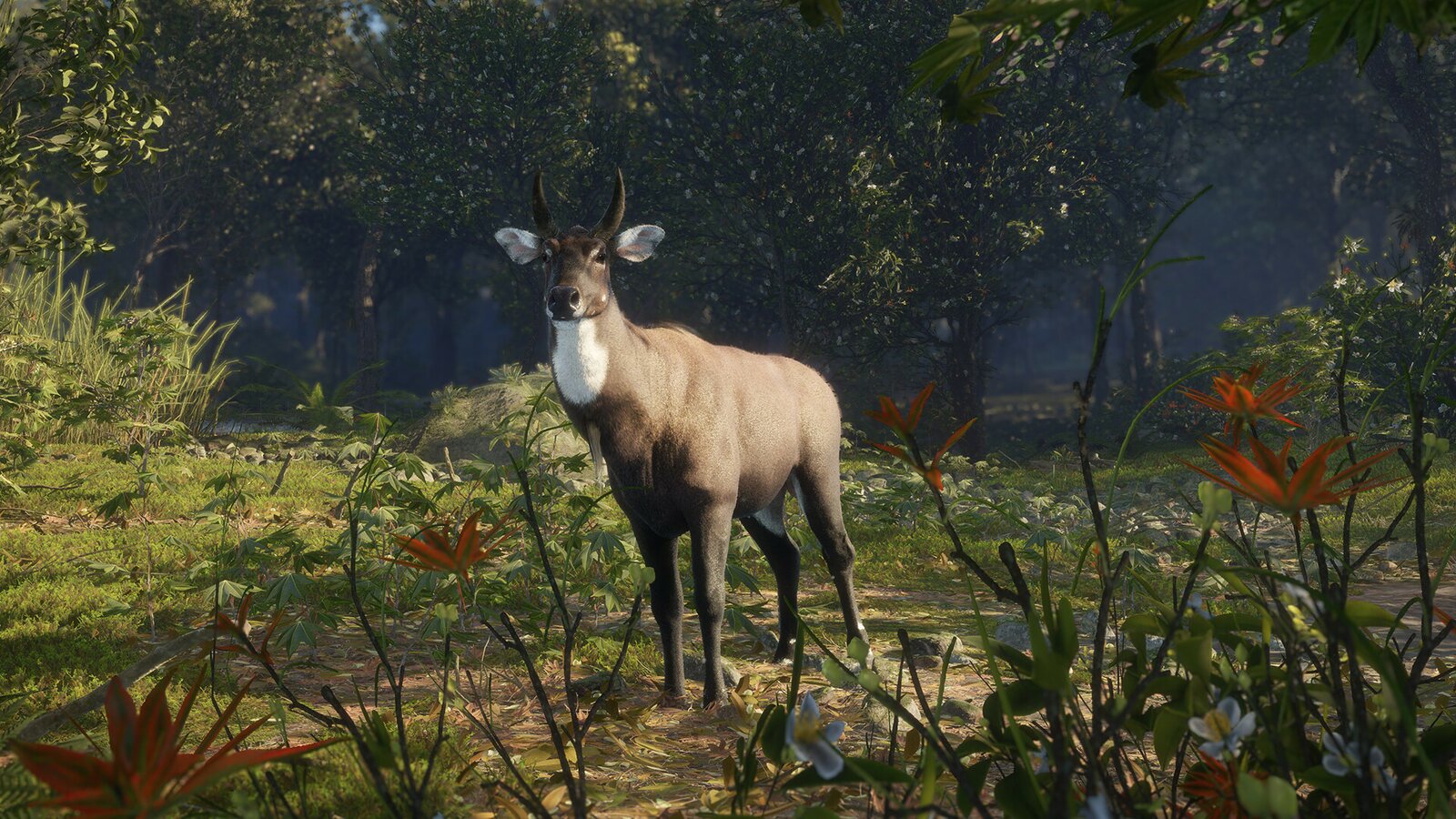 theHunter: Call of the Wild - Sundarpatan Nepal Hunting Reserve