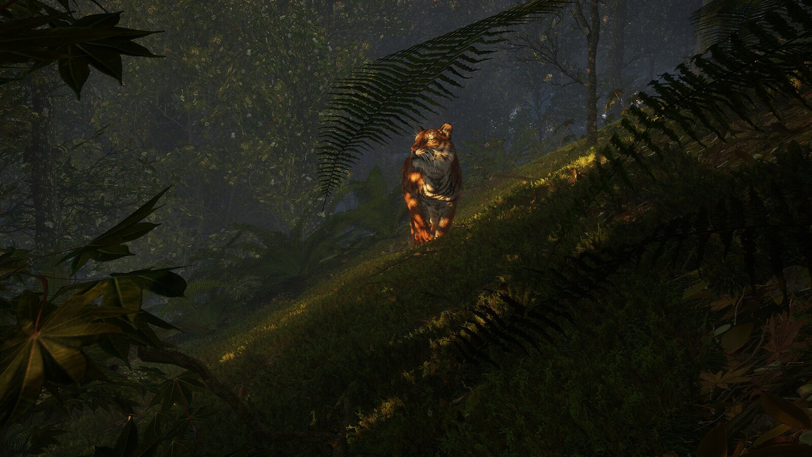 theHunter: Call of the Wild - Sundarpatan Nepal Hunting Reserve