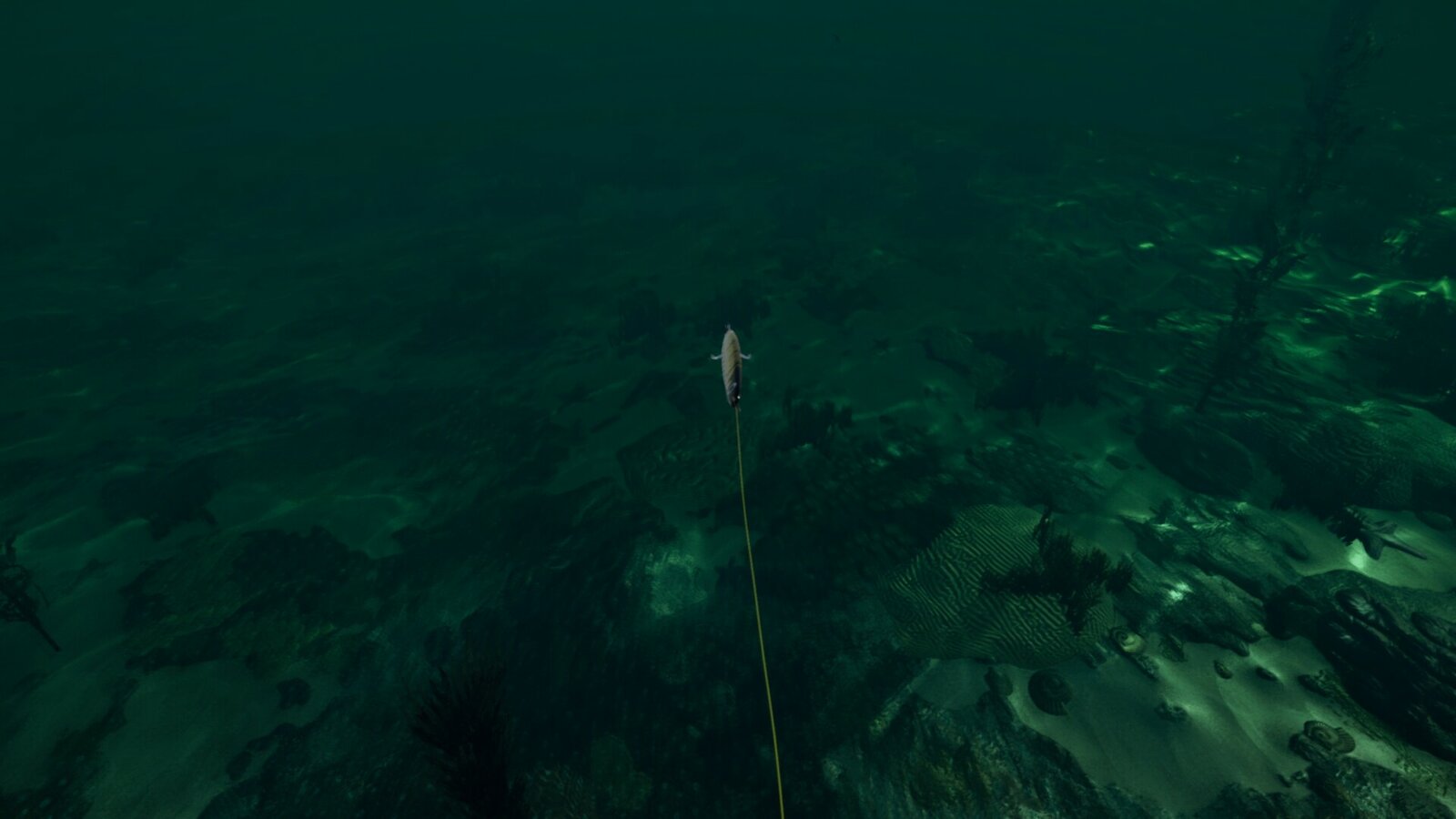 Ultimate Fishing Simulator - Florida