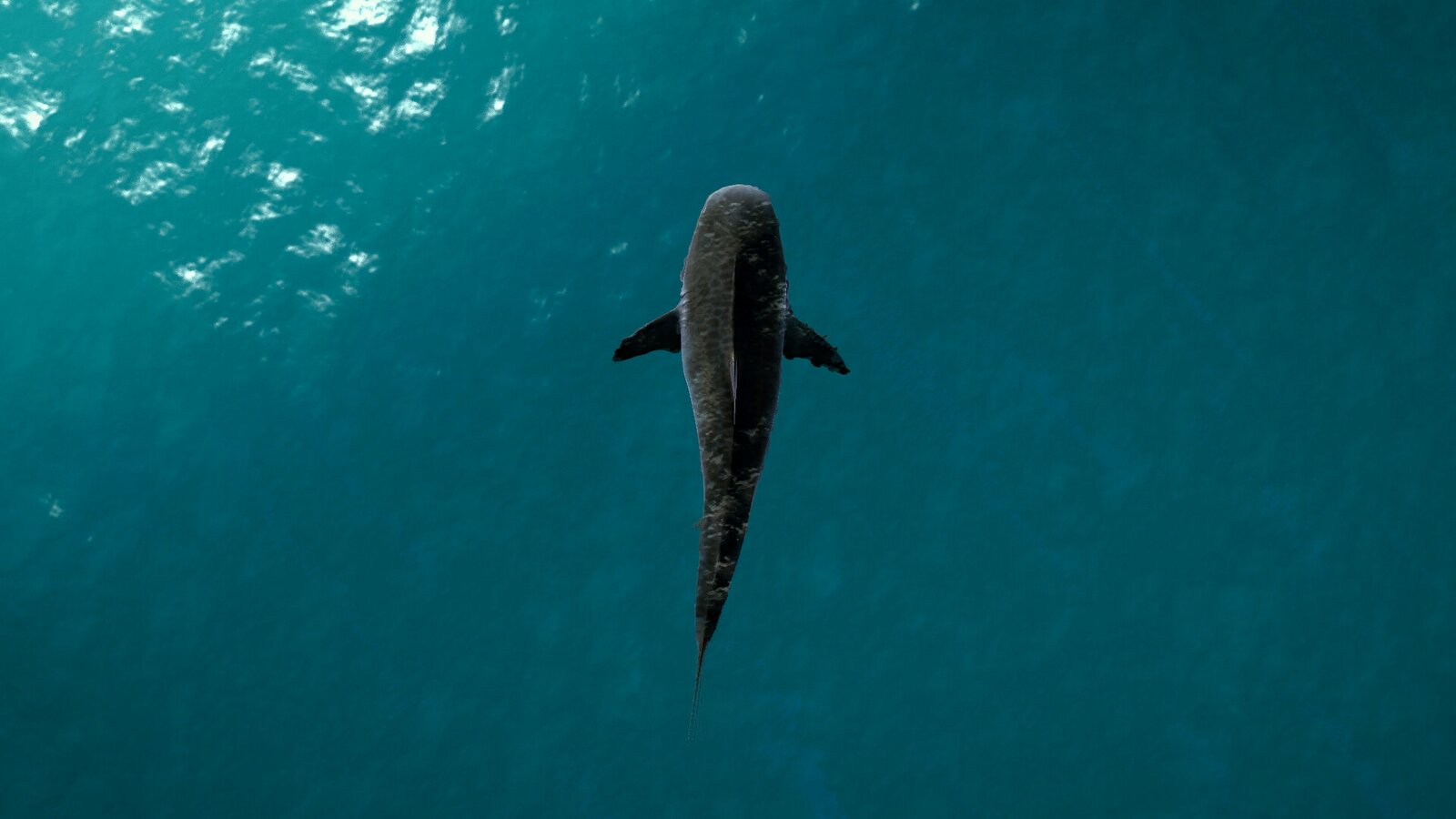 Ultimate Fishing Simulator - Florida