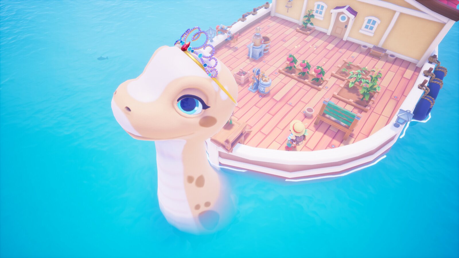 Collector's Cove - Supporter Edition