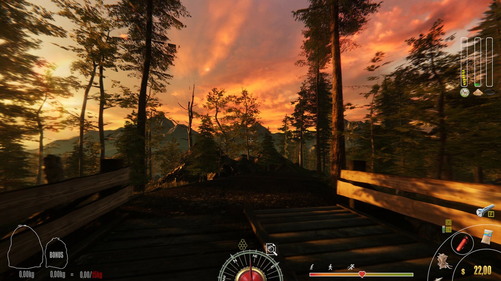 Forest Ranger Simulator