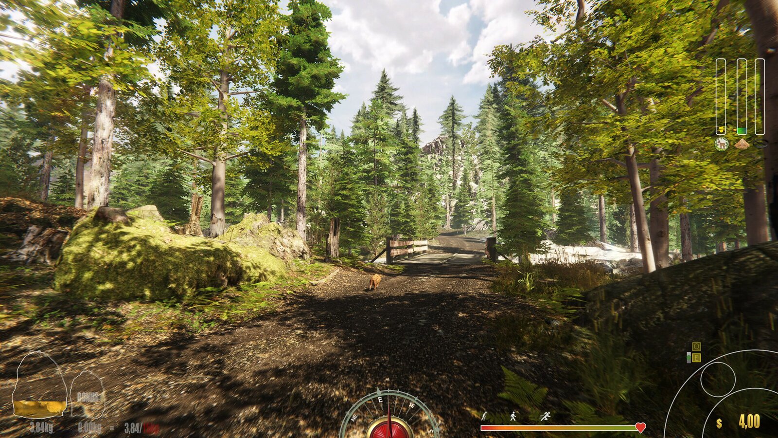 Forest Ranger Simulator