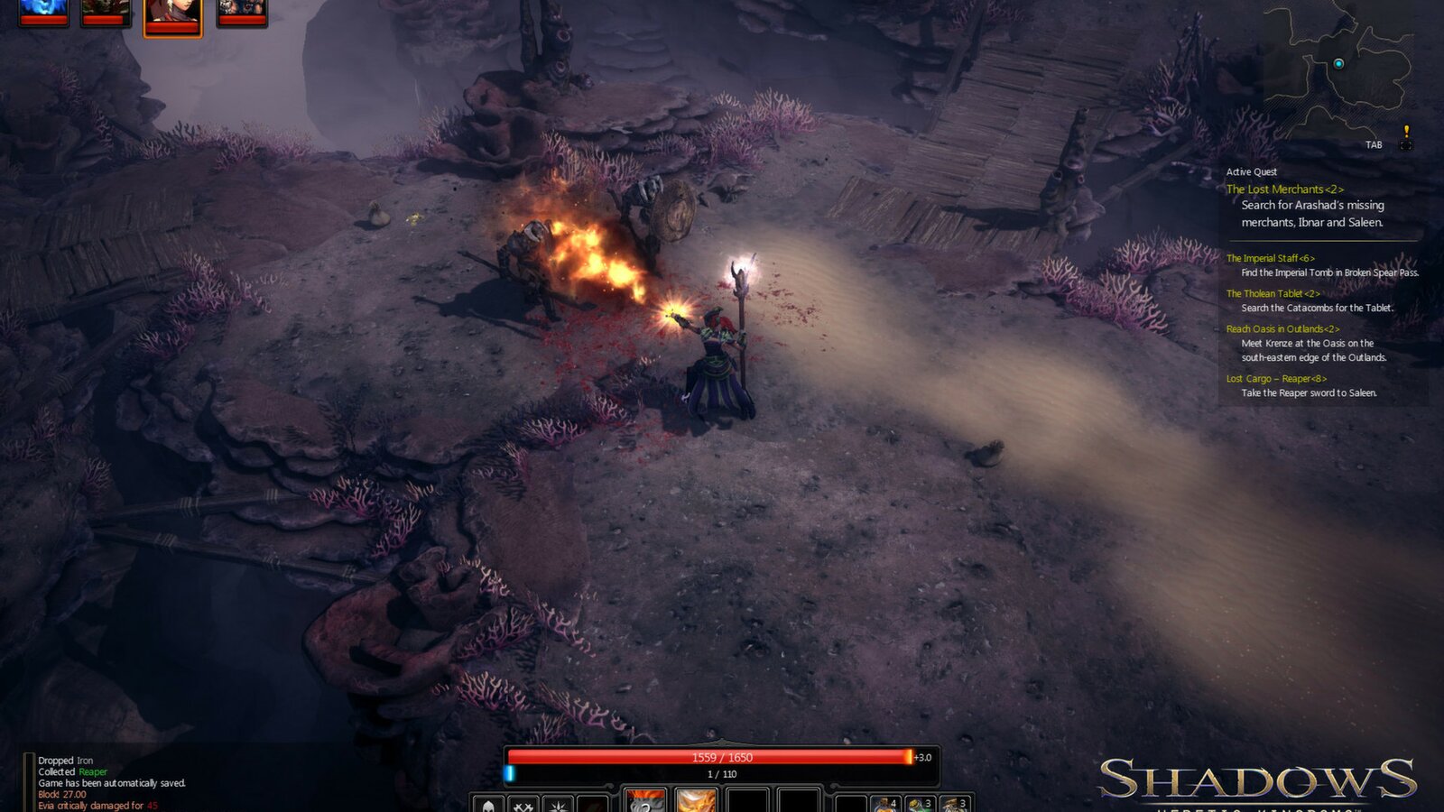 Shadows: Heretic Kingdoms