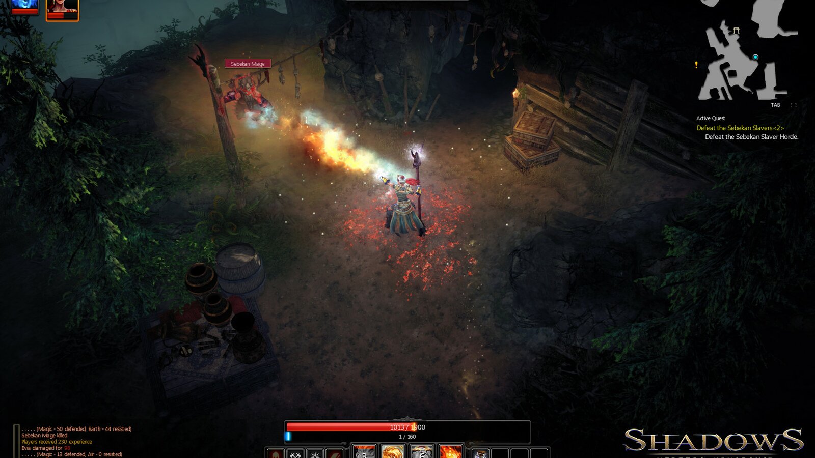 Shadows: Heretic Kingdoms