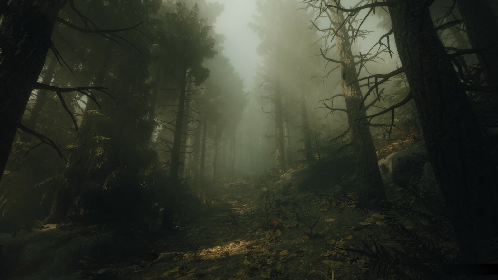 The Occultist - Deluxe Edition