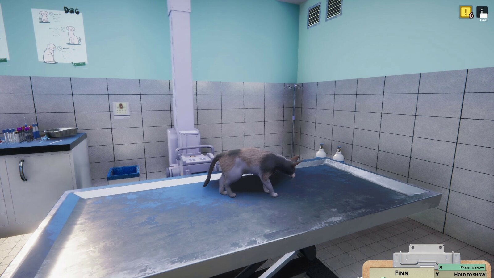 Animal Shelter - Vet Clinic