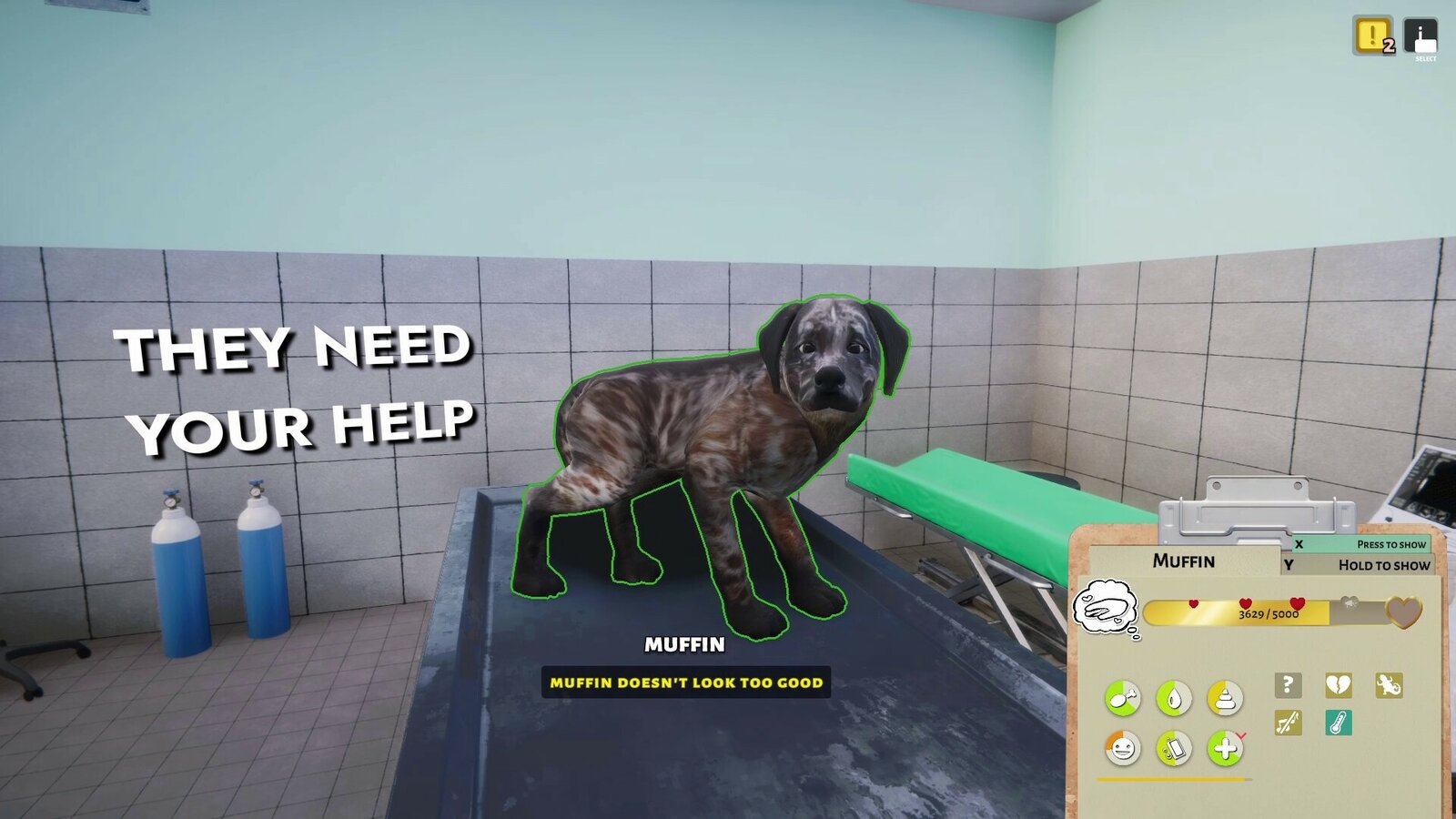 Animal Shelter - Vet Clinic