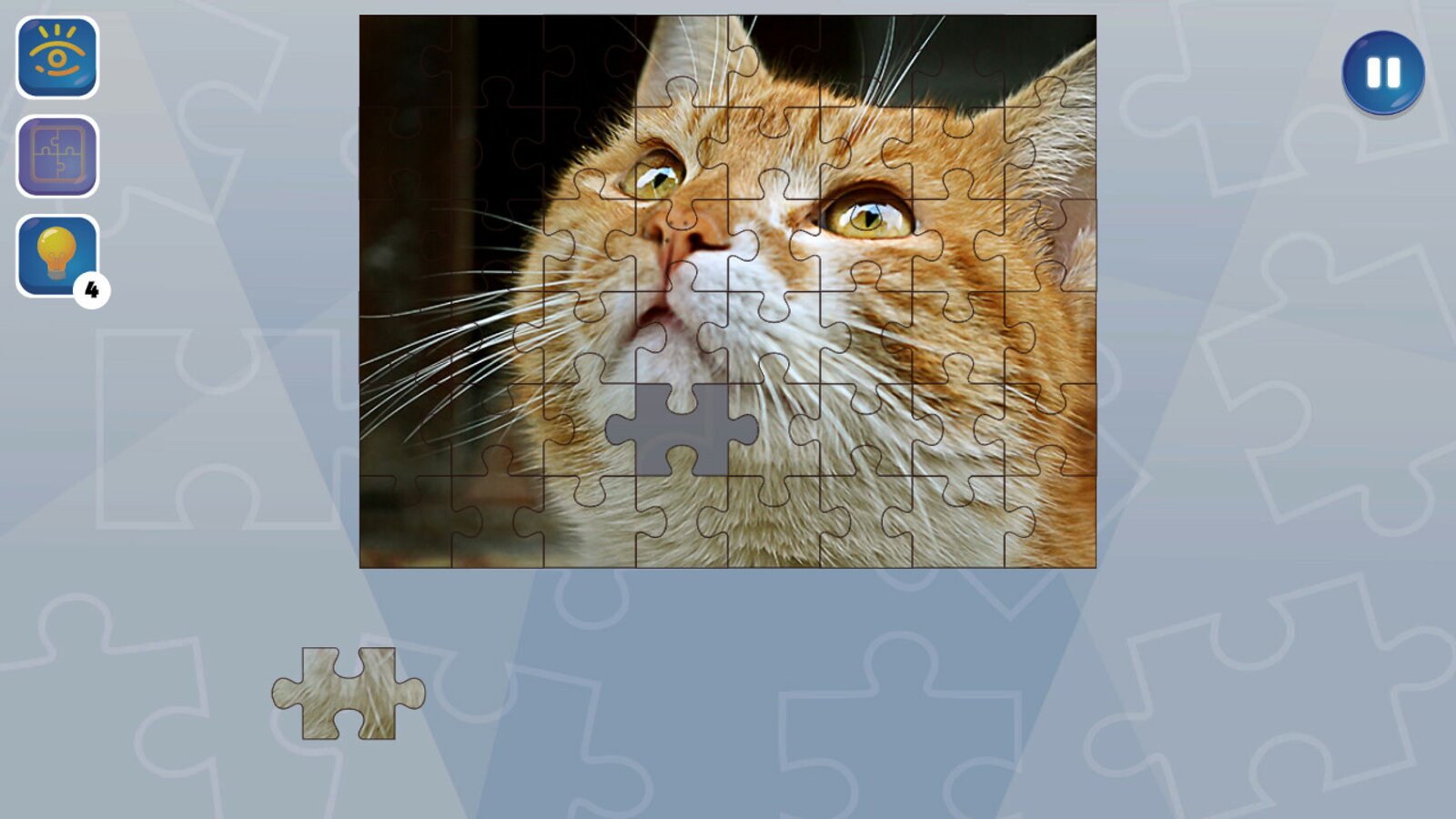 Jigsaw Puzzle Fever