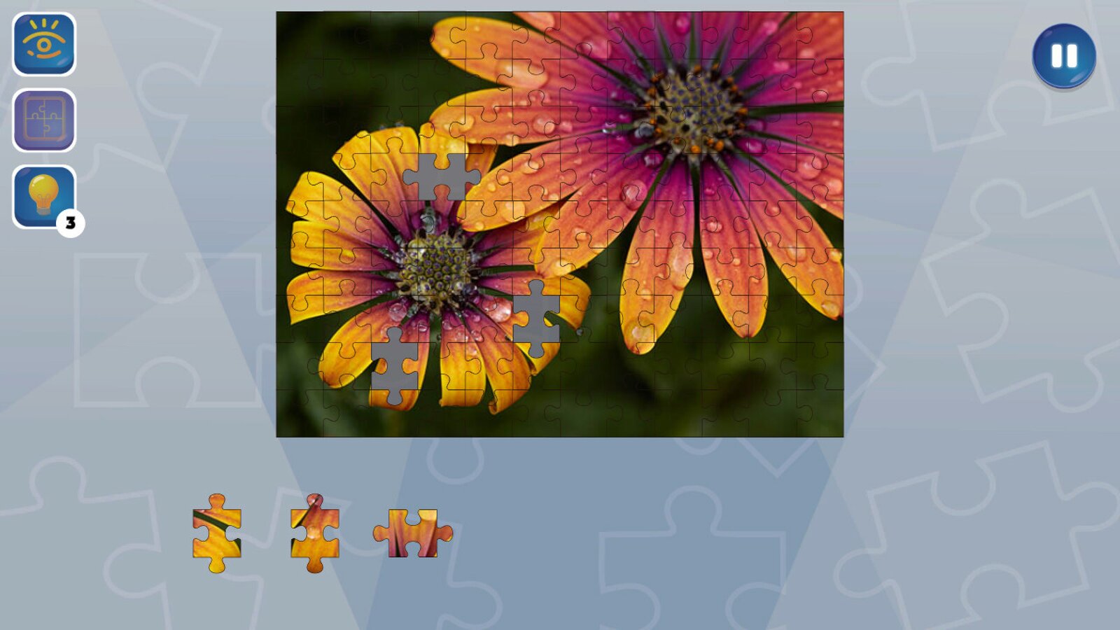 Jigsaw Puzzle Fever