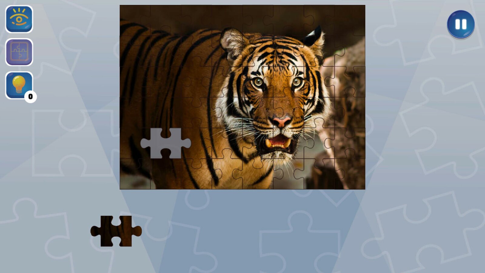 Jigsaw Puzzle Fever