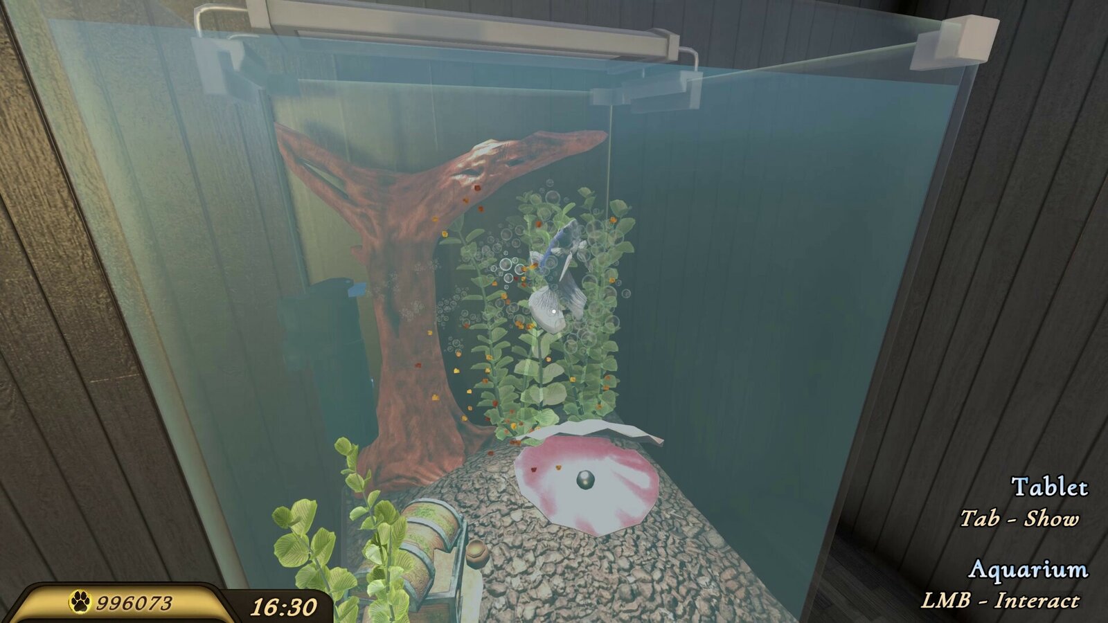 Pets Hotel