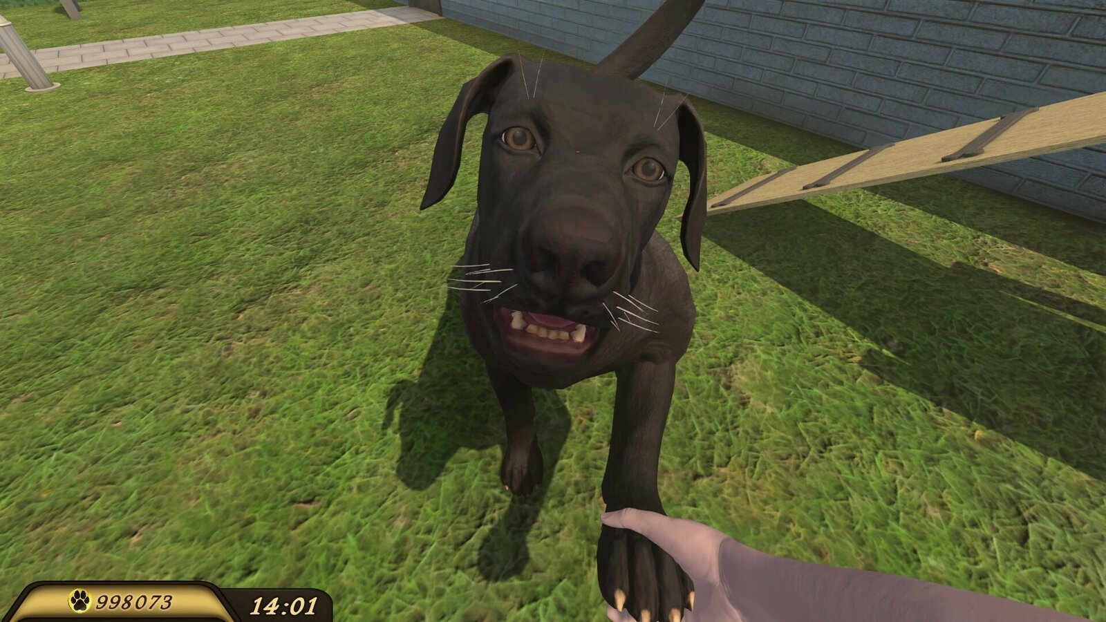 Pets Hotel