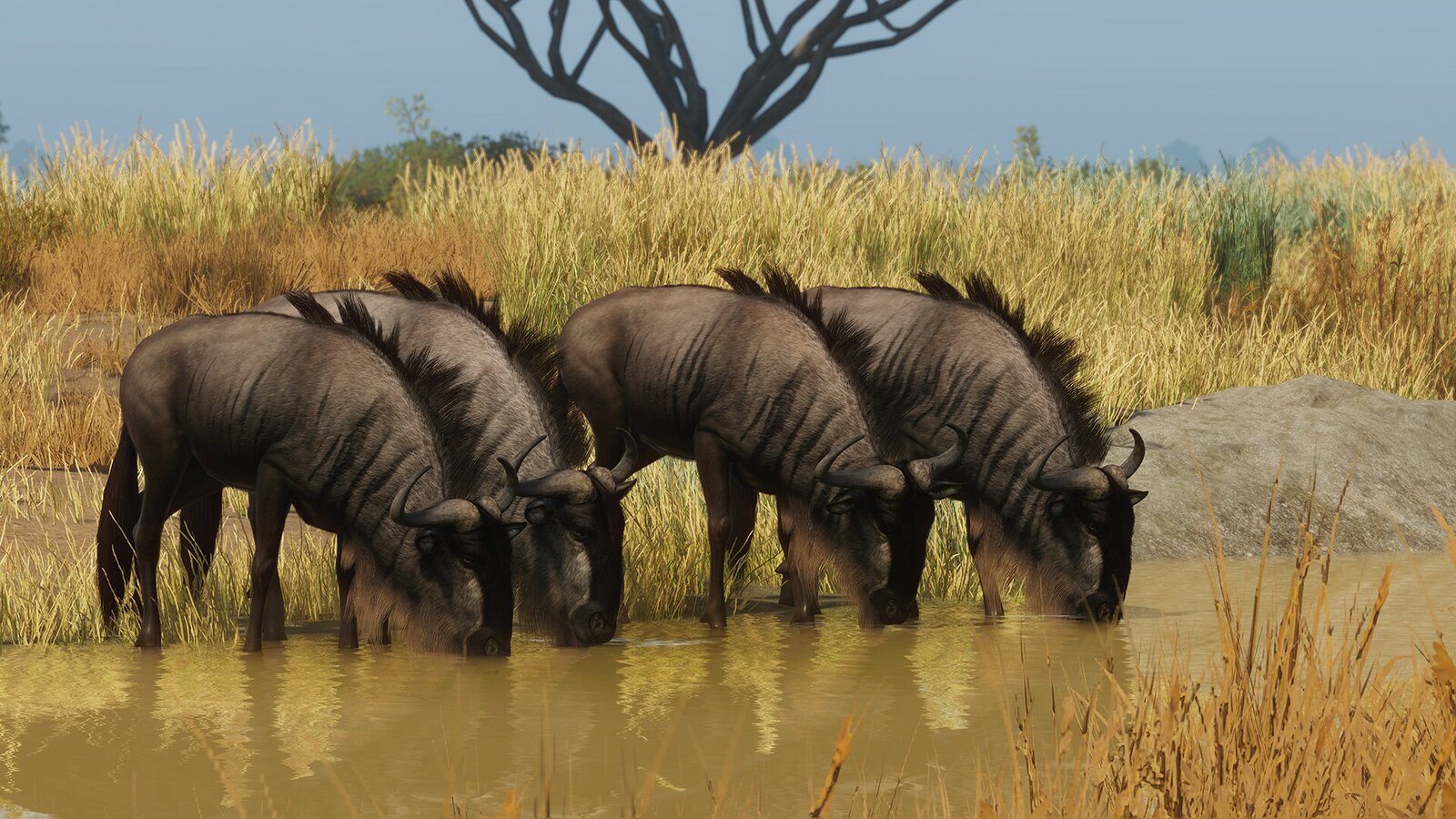 Planet Zoo - Grasslands Animal Pack