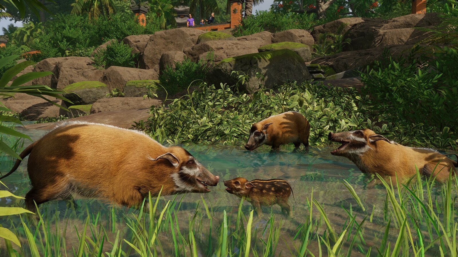 Planet Zoo - Tropical Pack